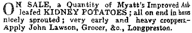 Business and Occupations   1890-04-04 and 1890-06-28 CHWS.jpg